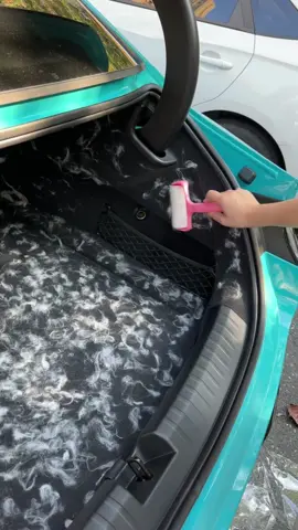 If you have pets and they shed at all,this will save you SO much time 🐈😻😽#cathairremoval #cathair#cathaireverywhere#pethair#petproducts