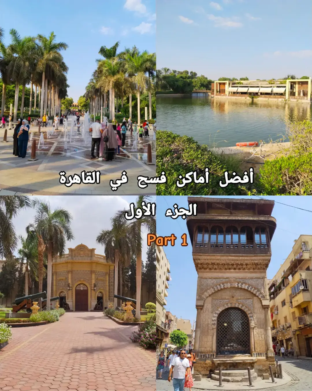#fyp #مصر #حديقة_الازهر #قصر_عابدين #