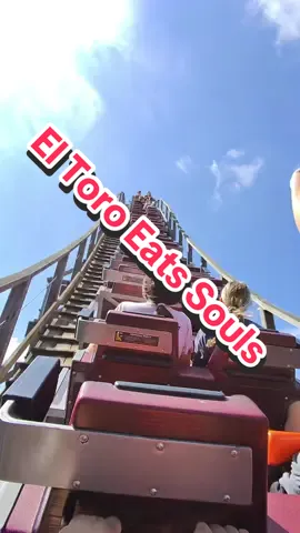 The whiplash on the back row of El Toro is no joke! Best wooden roller coaster ever! #eltoro #sixflagsgreatadventure #rollercoaster #themepark #themeparkmeme @sfgradventure 