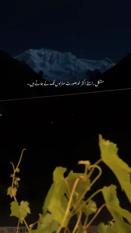 #fyp 
