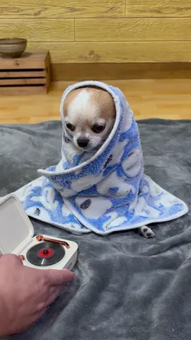 DJ JJEOM 