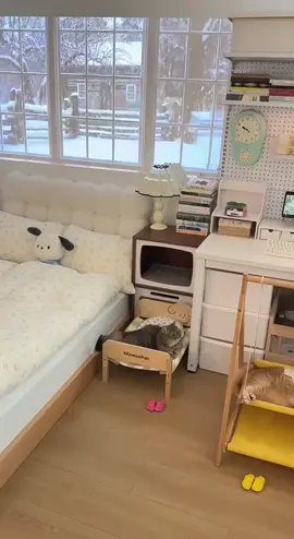 находка для пушистых хвостиков🥰