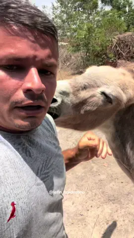 Eu quero é picanha 🥩 😂#video #viral #comedia 