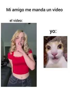 staryuki cada vez está mejorando el contenido 😵‍💫👌🏻🌸 #staryuukiii #gatos #fyp #trend 