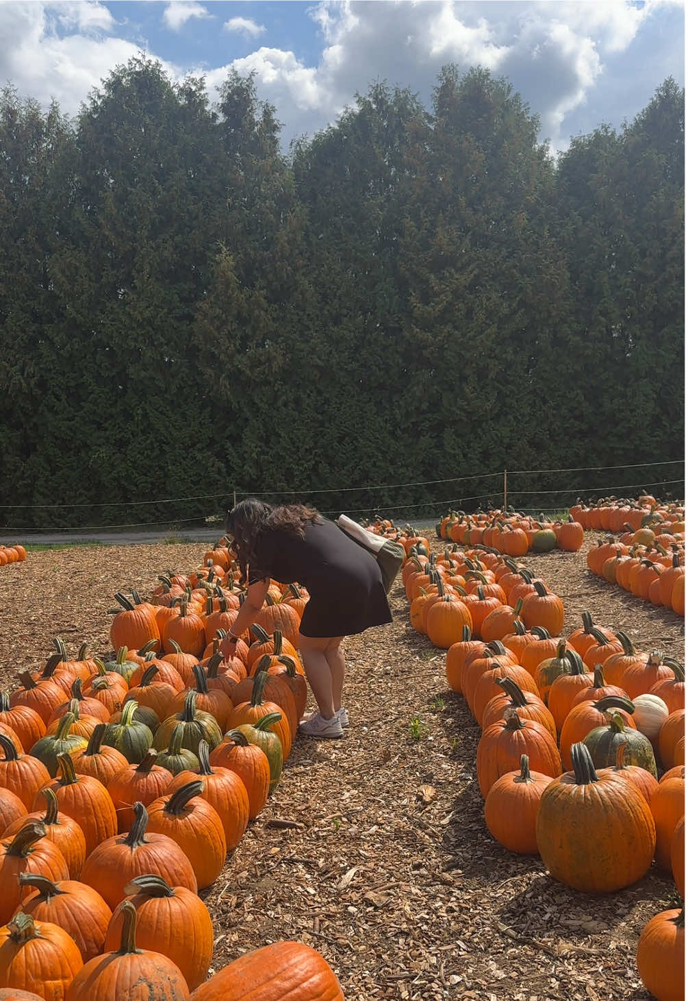 In my element ✨🎃🍂 #pumpkinpatch #fallaesthetic #fallbucketlist #fyppp 