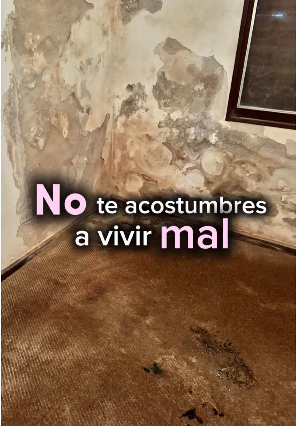 Si hay algo en tu hogar, que ya no te gusta, récorda que siempre se puede transformar 👆 Desde lo más pequeño, hasta lo más profundo. No te olvides que sí hay otra forma de vivir. No te acostumbres a vivir mal ✨💖✨ Guarda este post para cuando dudes de arrancar a darle amor a tu casa y siempre pero siempre, el piso va hacer la diferencia 😎 #Lifestyle #Flock #homedecor #deco #pisovinilico #pisomelaminico #sistemaclick 