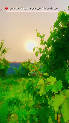 تصويري #تصويري_احترافي_الاجواء👌🏻🕊😴 #تفاعلكم_حتى_أستمر #صعدو_الفيديو #كسبلور 