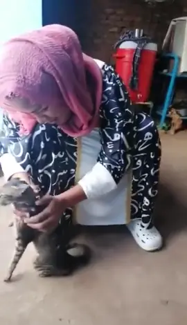 هل تاني من عودة هل باقي لي أمل 💔💔 ده السؤال اللي طول الوقت بسأله لنفسي من يوم انفصلنا قعدت مع نفسي كتير و قلت أشوف التقصير كان وين عشان اصلح بس من دون فايدة آخر المطاف بقيت أنا و ذكرياتي😔