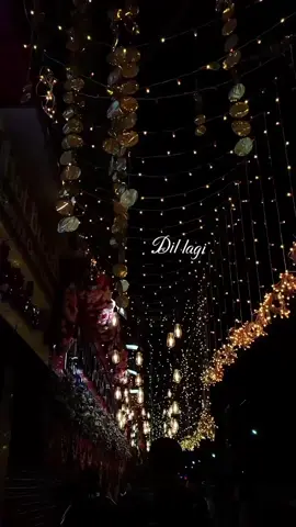 Dil lagi hi Dil lagi main 🫶🏻🍂🤌🏻💫✨🎀#songlirycs #foryoupageofficiall❤️❤️tiktok #viralvideos  #fyp #1millionaudition 