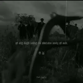 අපි හාවො🐰💀 #darkසුද්දා #thilawadan #rapstatus #dis
