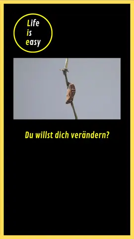 #leben #freiheit #unabhängigkeit #hoffnung #motivation 