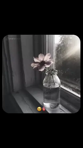 ❤️‍🩹🍂 #fyp #maryam_mogs #goviral #tiktok #foryou  @TikTok don't under review my videos plzz 