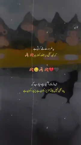 یہ ضرورت طے کرتی ہے کہ لہجہ کتنی دیر مٹھا رکھنا ہے🍂💔🤐💔🍂🤐💔#foryou #viralvideo #potrysatuts 