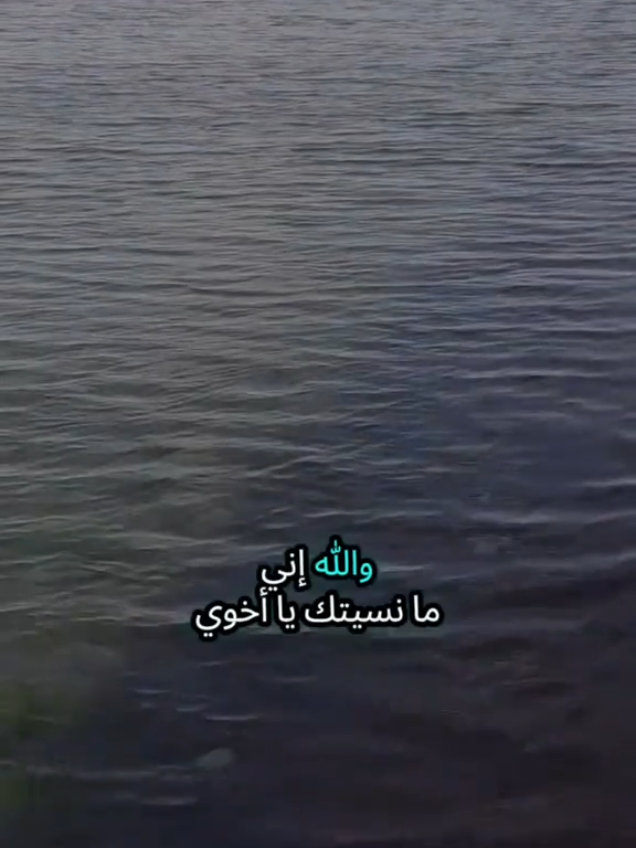 والله إني ما نسيتك يا أخوي ولا سهيت كيف ابنسى حرقة فراقك وأنا بعدك كسير من بعد موتك مريض وكل ما أتذكر بكيت ما حسبت حساب فقد ولا هقيت أنه يصير #تركيا #اسطنبول #شعروقصايد #حسبي_الله_ونعم_الوكيل #اللهم_صلي_على_نبينا_محمد 