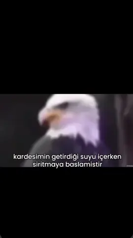 ne yaptı la #kardeş #ablakardeş #tuzak #şaka #mizah 