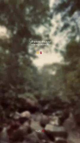 Part 66 / මේ ආත්මෙ විතරක් 🥺❤️‍🩹 