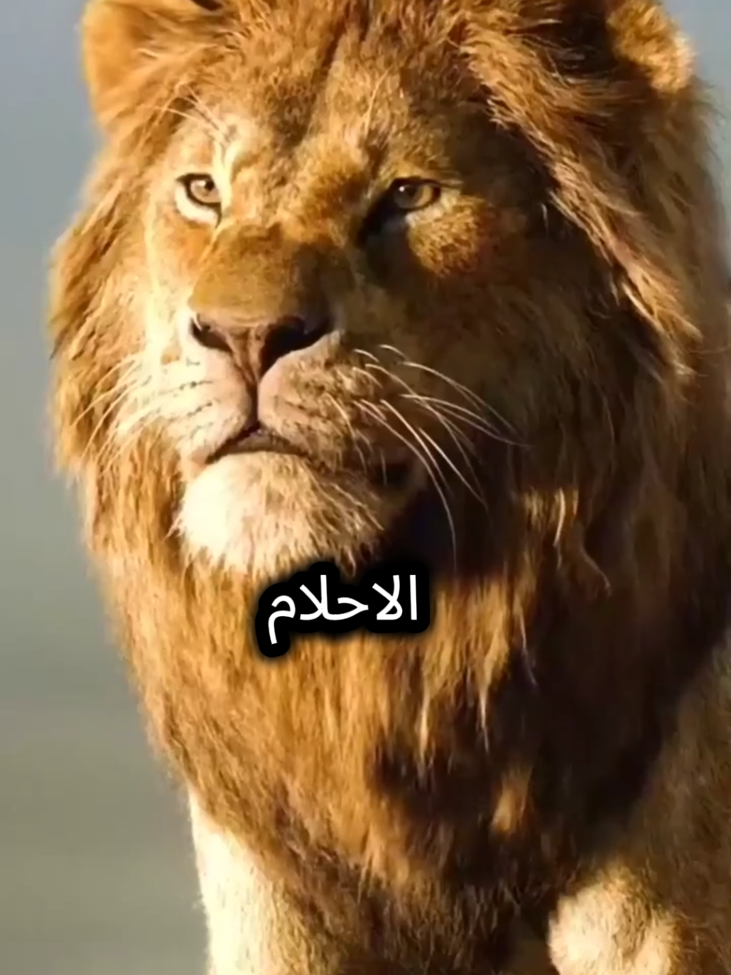 الاخ الاكبر ليس مجرد اخ#اقوال_وحكم_الحياة #عبارات #اقتباسات #خواطر #كلام_من_ذهب 