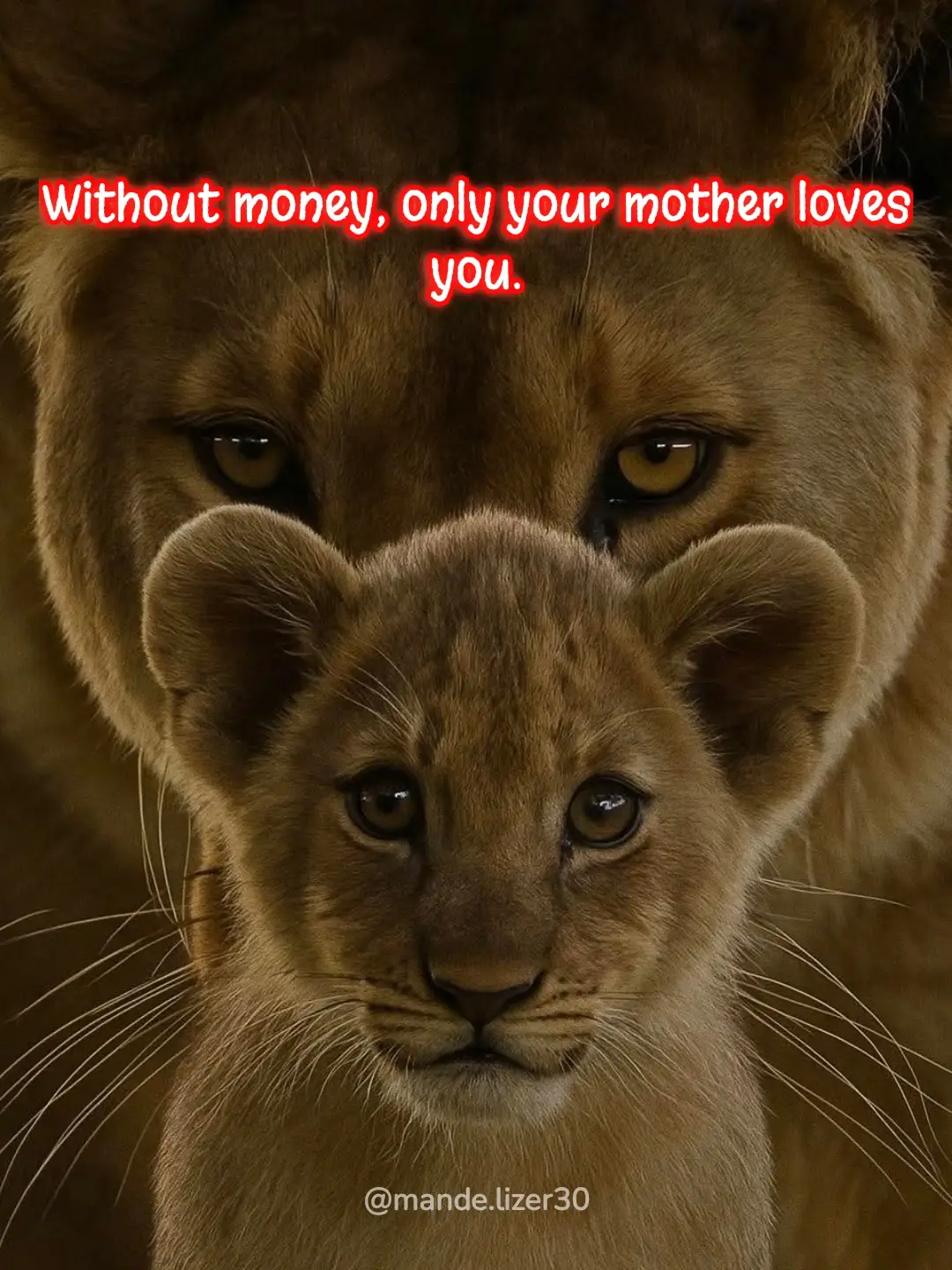 #mom #mother #motherslove #mindsetquotes #mandelizer 