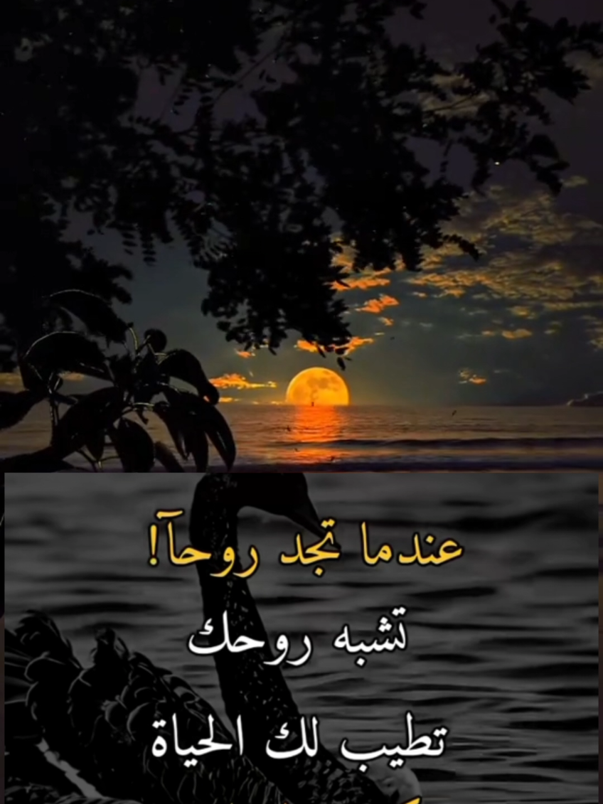 #LIVEIncentiveProgram #LIVEStory #PaidPartnership 