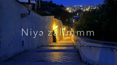 niyə zalımmmm)❤️‍🩹#lyricsvideo #keşfet 