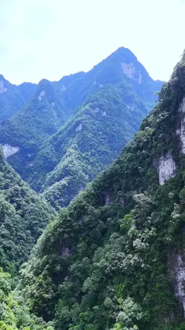 #Absolutely Stunning #Nature #