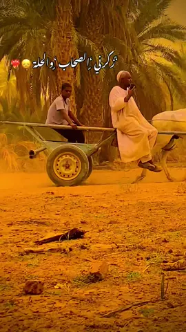 هبالي النسيم ❤️ #هبالي_النسيم_ذكرني_الصحاب_والحله #اوما_هبالي #شمالنا_الحبيب🌴💚 #sudanese_tiktok #bbq @جدو @OMER .A.A @شايقي يجرح 🤍✈️ 