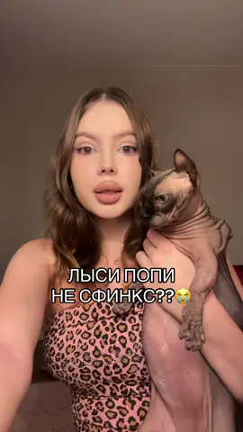 Тайна лыси попи… #лысикоти #лысипопи #сфинкс #животные #sphynx 
