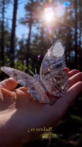 #butterfly #🦋 #bts 