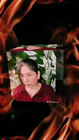 @🦆🦆🦆🦆🦆🦆🦆 #nayeli272 @Don chilo (una cosa bella ) @La más infiel @Elizabeth Reyes @💙Nayeli Andrade💙 @🩷Mariett 🩷🔥🍬🐺👼 @griceldavaltierre @Lene @𝐍𝐈𝐍𝐀 🍒⚘️🌙 