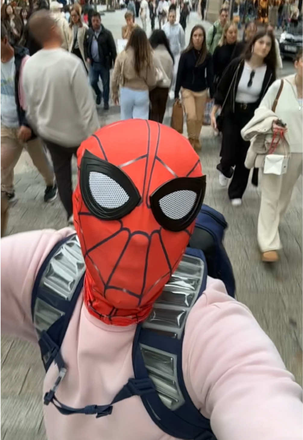 Si jamais y’a des filles qui aime qui recherche un petit chat je suis là 😏