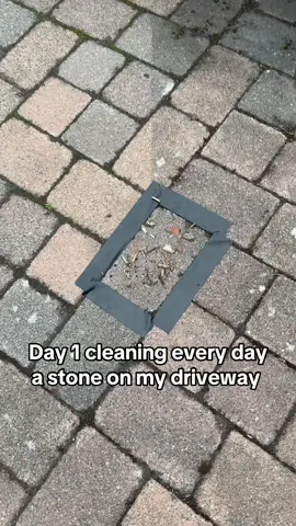#CapCut Day1 - I am going to clean every stone on my driveway until my hole driveway is clean! What do you think how long it will take? #fyp #cleaningrocks #satisfy #CleanTok 