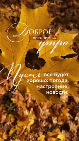 #доброеутро  #четверг 