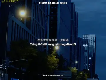 ｜PHONG DẠ HÀNH｜“红尘的故事都忘了。。。“#风夜行 #风夜行dj版 #douyin #nhactrungquoc #viral 