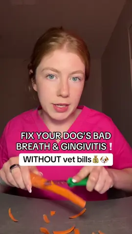 all dog owners should know this!!🐶❤️ #PetsOfTikTok #dogs #doghealth #tiktokshopviral #pethealth 