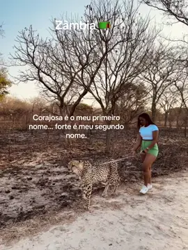 #anosatrás 