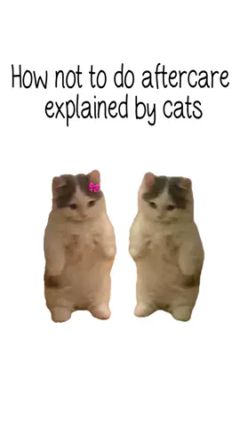 How not to aftercare explained by cats #catanimation 