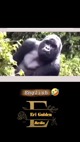 ሼር ሪፖስት እንዳ ገበርና 🙏 . . . . #ethopiantiktok🇪🇹🇪🇹🇪🇹 #eritreantiktok🇪🇷🇪🇷habesha #tigraytiktok🇻🇳🇻🇳tigraytiktok #funnyvideos #creatorsearchinsights 