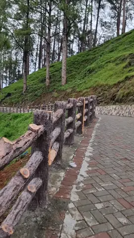 Shimla hill Abbottabad #foryou #foryoupage #abbottabad #hazara #shimla_hills 