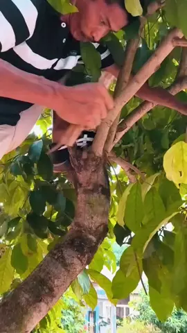 Kawat Bekas Bisa jadi gergaji yang penting tau Caranya 