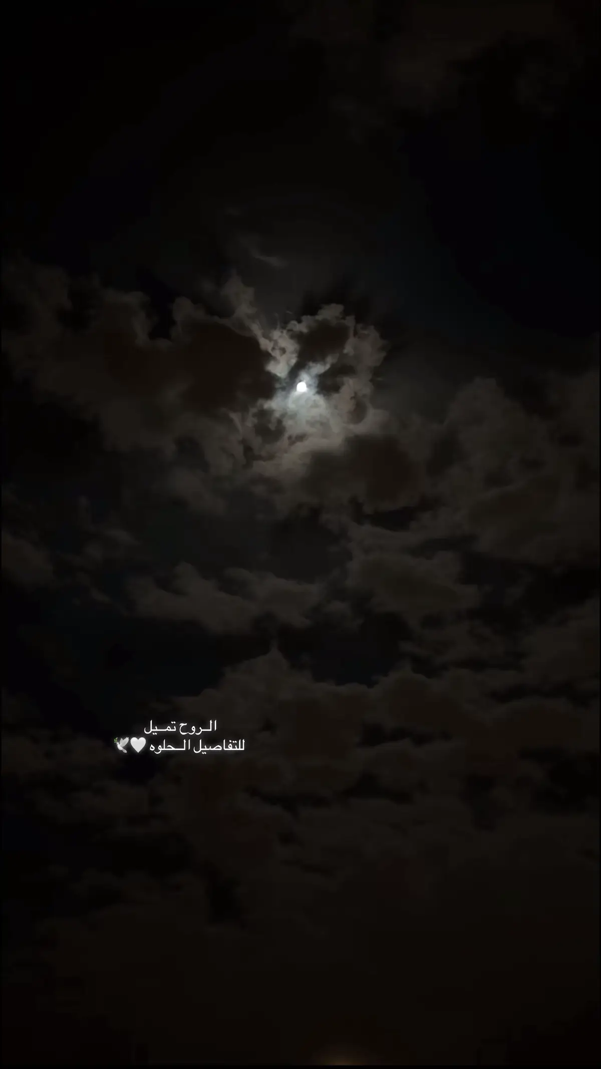 جمال القمر 🤍