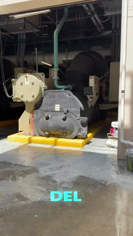 #LIVEIncentiveProgram #LIVEStory #PaidPartnership 