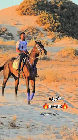 #خيل_وخياله🐎 #قبلي_الجنوب_التونسي🤩😘💜 #المغرب🇲🇦تونس🇹🇳الجزائر🇩🇿 #الصحراءالتونسية #