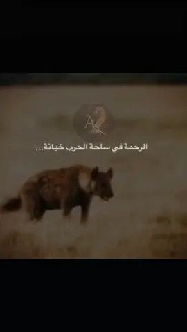 asmar 