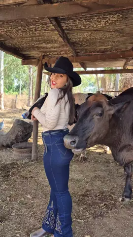 roupa nova #agriculturaregenerativa #gado #vidanaroça #pecuarista #