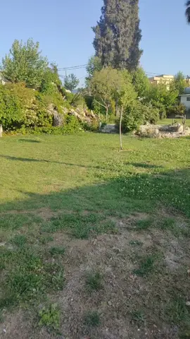 #العراق_السعوديه_الاردن_الخليج 