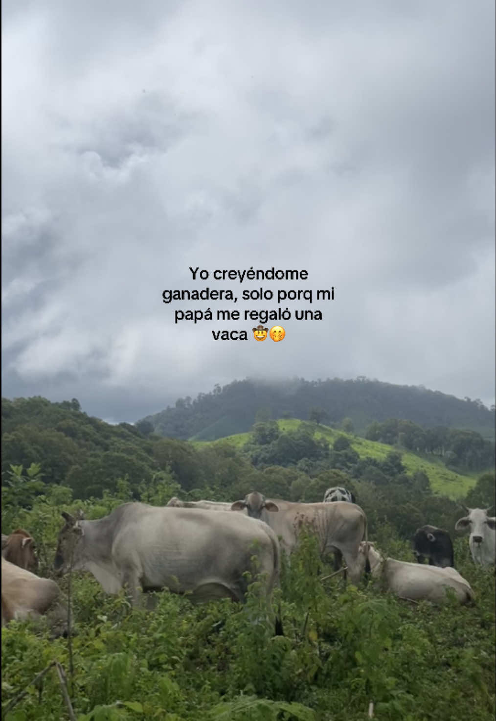 Humildemente 🙂‍↔️