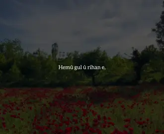 ♥️#kurdistan#barzan #tiktok #foryou #active 