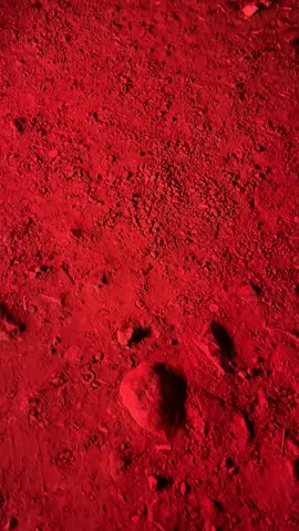 ماني مجازيك.. #ابها #ضباط #capcut #fyp #جبل_نهران #explore #اabha #R 