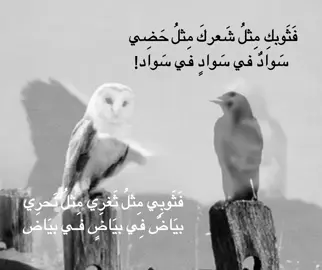 #مَلاك_الجَحيم #ماما_لماذا_انجبتني؟ #tiktok #explore #فثوبك_مثل_شعرك_مثل_حضي