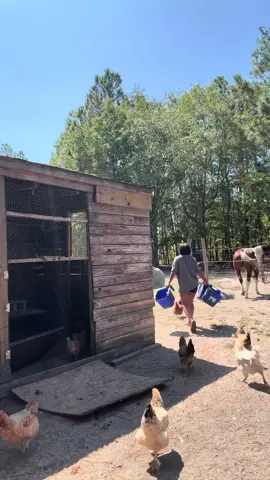 Notice anything different ? 